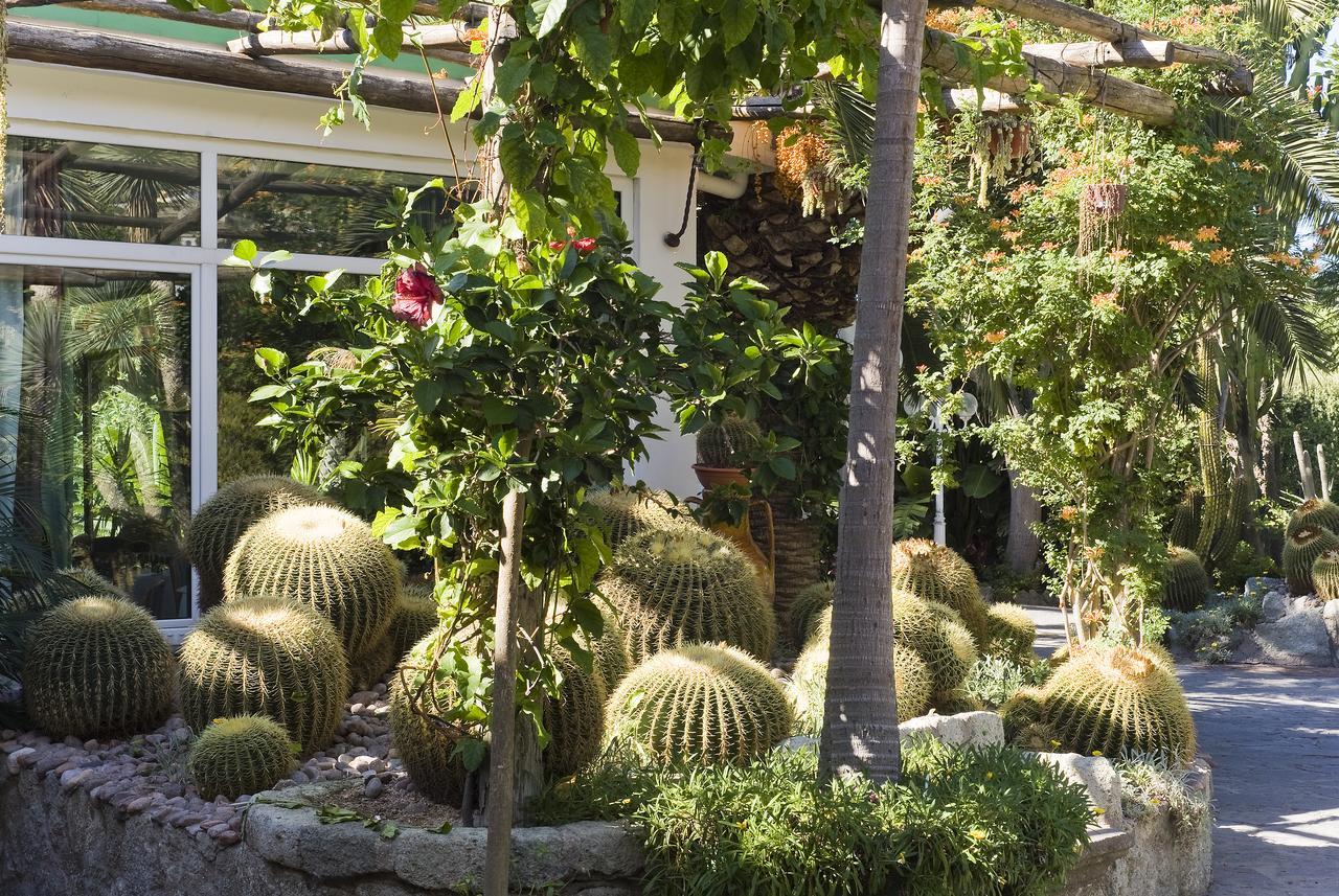 Park Hotel Terme Mediterraneo Forio di Ischia Zewnętrze zdjęcie